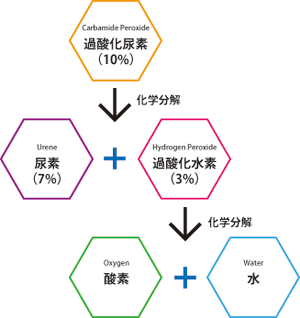 ���������Ȃ錴��
